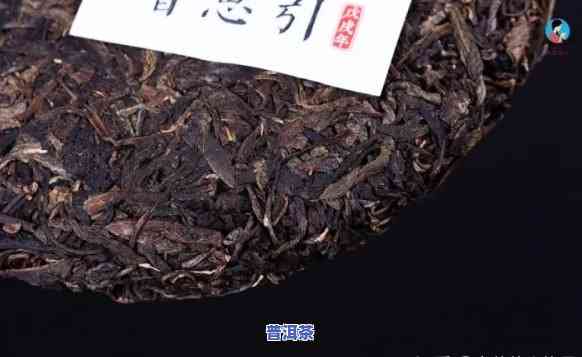 普洱茶有小黄点：正常现象还是不宜饮用？