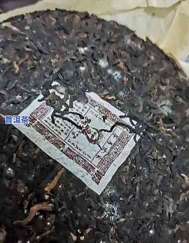 普洱茶发霉有虫子还能喝吗视频，普洱茶发霉生虫是不是能饮用？视频解析