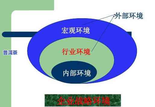 络环境分析-络环境分析怎么写