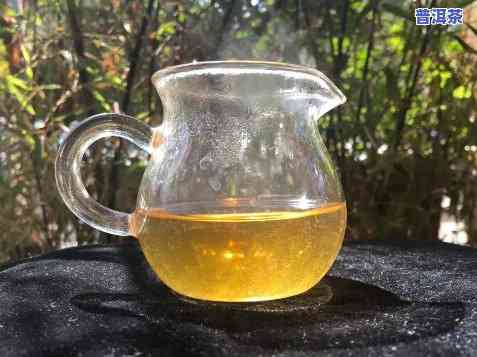 老徐讲普洱茶169-徐普号普洱茶