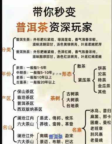 云南普洱茶文化大观选修课属于哪个板块，揭秘云南普洱茶文化：选修课归属哪个板块？