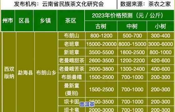 西双版纳普洱茶2023年价格全览：多少钱一斤？