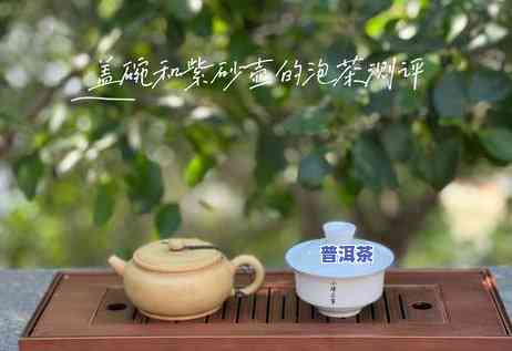 生熟普洱茶共用一个紫砂壶好吗，探讨：生熟普洱茶能否共用一个紫砂壶？