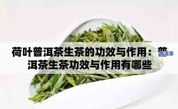 荷叶普洱茶的适合人群及功效，荷叶普洱茶：适合人群与神奇功效解析