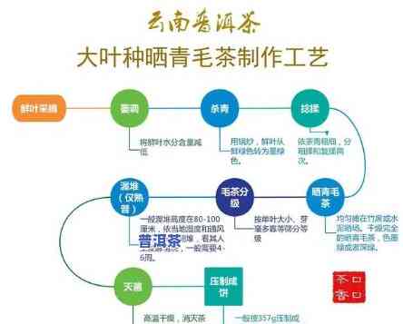 普洱茶大组合有哪几种类型茶，探索普洱茶的多样性：熟悉普洱茶大组合中的各种不同类型茶