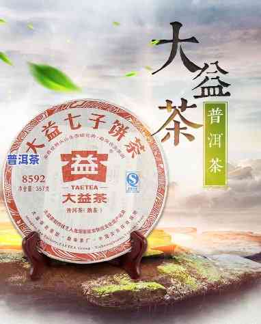 大益普洱茶品鉴，探索大益普洱的魅力：一次深度品鉴体验