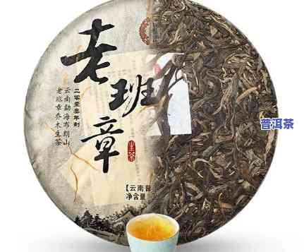 普洱茶老班章好吗，探讨普洱茶老班章的品质：它真的好吗？