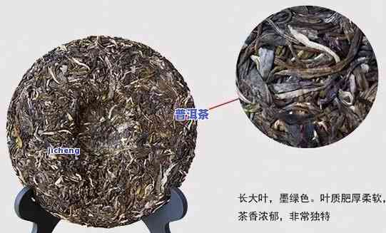 普洱茶饼：它属于什么茶类、茶种？