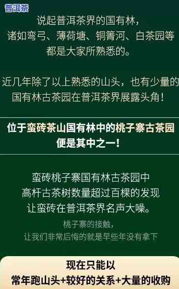 寨子坡普洱茶介绍视频讲解下载，独家揭秘：寨子坡普洱茶介绍视频讲解，带你领略茶叶的魅力！