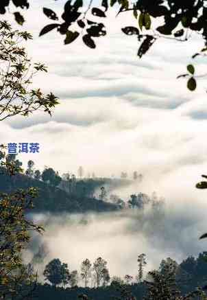 景迈普洱茶产地在勐海哪里-景迈普洱茶产地在勐海哪里啊