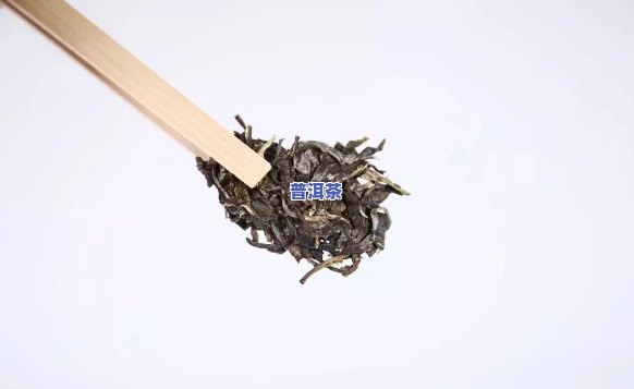 熟普洱茶饼上的白霜和白虫是什么？起因与情况解析