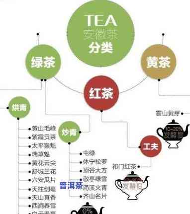 正宗普洱茶售卖渠道有哪些-正宗普洱茶售卖渠道有哪些呢