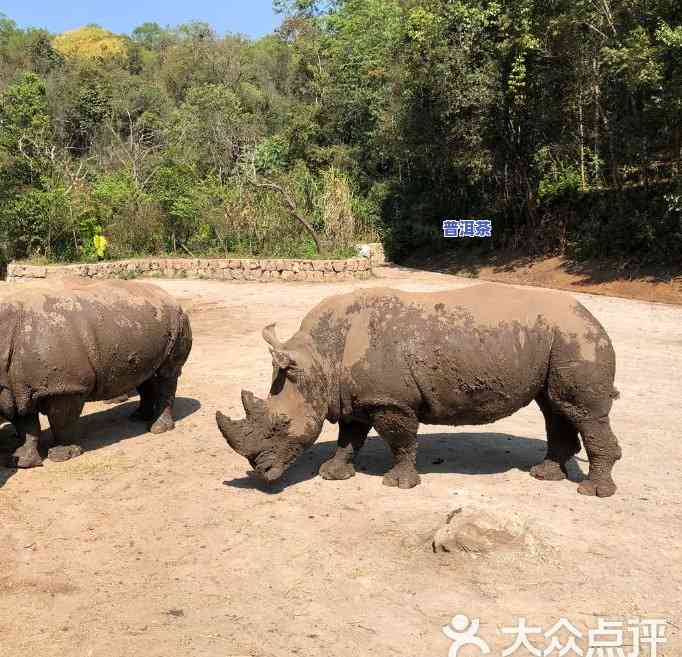 开元普洱茶仓库地址在哪里呀？联系电话是多少？