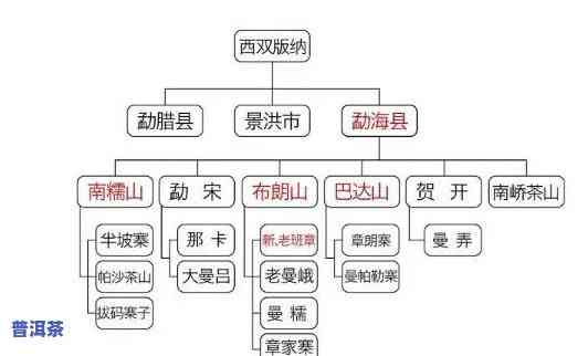 云南各地普洱茶特点详解：地域特色与口感差异