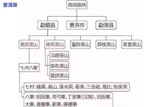 云南各地普洱茶特点详解：地域特色与口感差异