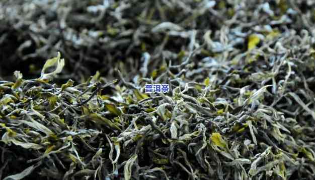 卖普洱茶，用卖普洱茶：新型茶叶销售模式的探索