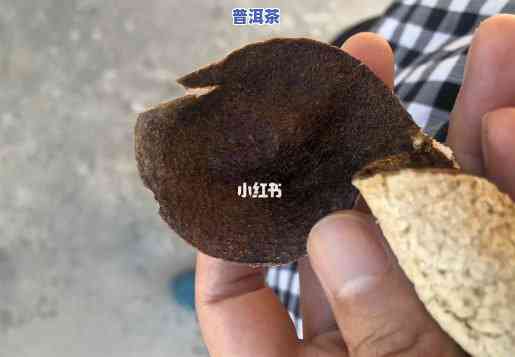 陈皮普洱茶的陈皮发霉了还能喝吗，陈皮普洱茶：陈皮发霉是不是能饮用？