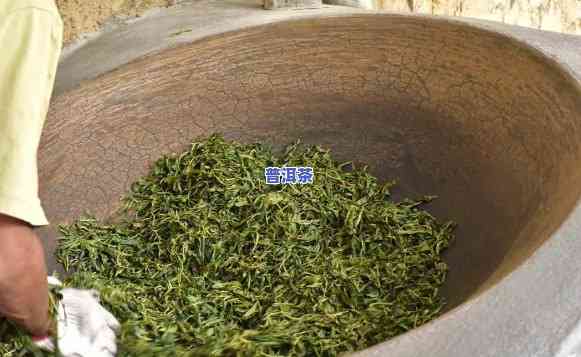 普洱茶做的茶罐的制作工艺流程，探秘普洱茶罐制作工艺：从原料到成品的全过程解析