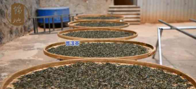 普洱茶做的茶罐的制作工艺流程，探秘普洱茶罐制作工艺：从原料到成品的全过程解析