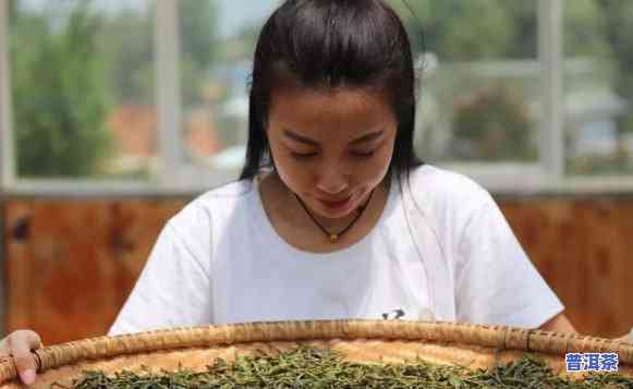 普洱茶制作直播间现场直播文案，探秘普洱茶制作全过程，直播间现场直播等你来！