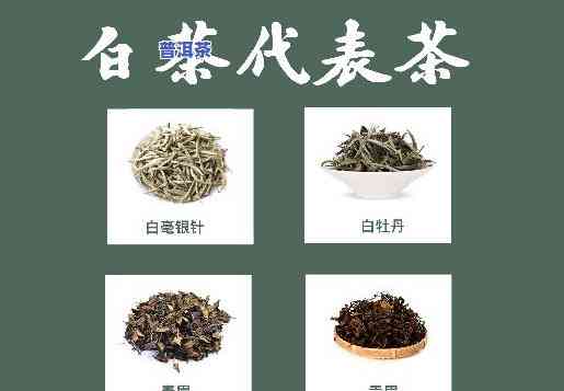 产什么茶？揭秘主要茶叶种类及其产量