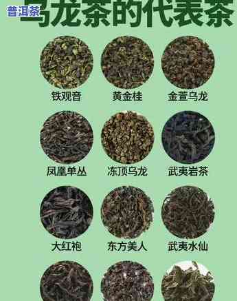 普洱茶属于哪一种类-普洱茶属于哪一种类型的茶