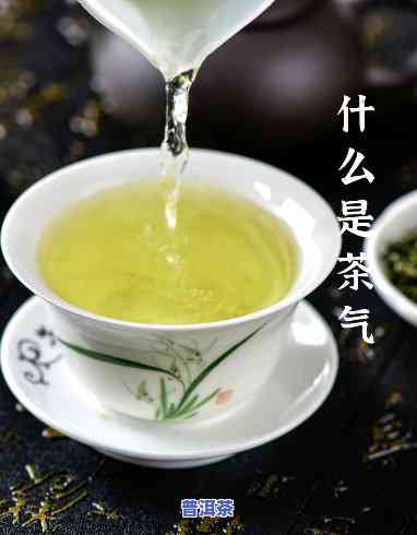 普洱茶所谓的茶气是指什么，探究普洱茶的“茶气”：它到底是什么？