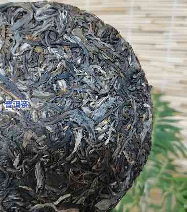 大叶种普洱茶贵吗值得买吗-大叶种普洱茶贵吗值得买吗