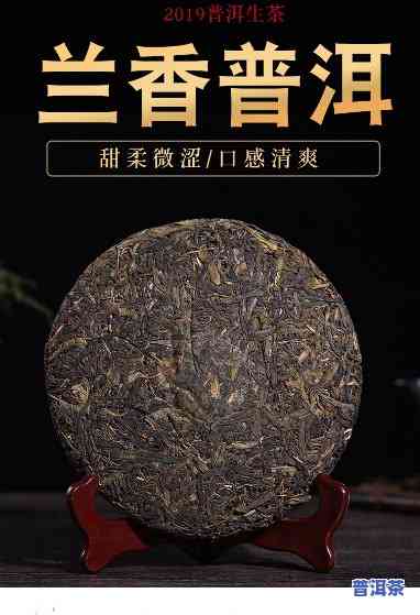 哪个区域的普洱茶是兰花香-哪个茶区普洱茶有兰花香