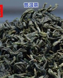 三伏天喝普洱茶：生茶还是熟茶好？