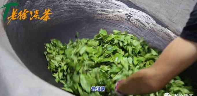 普洱茶杀青与后期转化：区别、关系与全过程解析