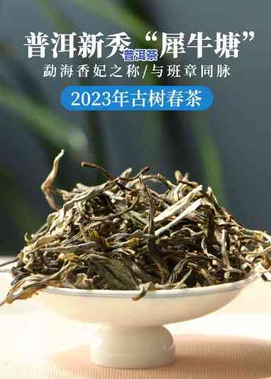 犀牛塘普洱茶什么香型更好-犀牛塘普洱茶什么香型更好喝