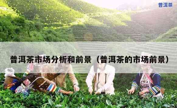 普洱茶市场定位分析，深度解析：普洱茶市场的精准定位与竞争优势