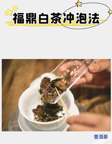 普洱白茶的冲泡方法与更佳水温