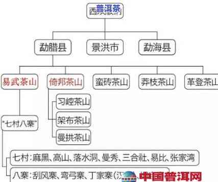 云南普洱茶加盟流程视频详解教程