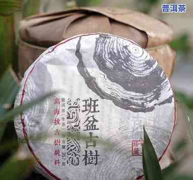 班盆普洱茶的口感描述：特点与生茶价格全解析