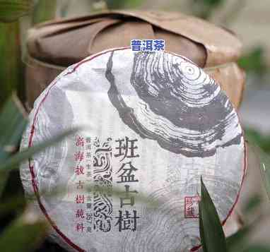 普洱班盆古树茶特点-班盆古树普洱茶价格