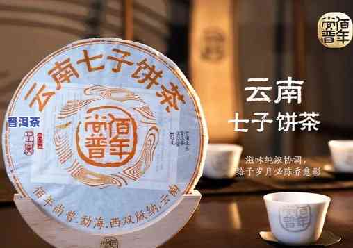 云南七子饼茶珍藏品：价格与图片全览