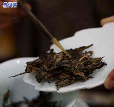 普洱茶藏在塑料袋里会坏吗为什么，塑料袋保存普洱茶是不是会变质？起因解析