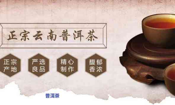 吉安普洱茶加盟代理公司，加入吉安普洱茶，开启您的代理创业之路！