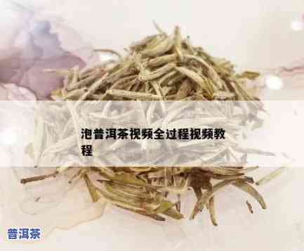 普洱茶的浸泡方法视频教学大全，一站式学习：普洱茶浸泡方法视频教学大全