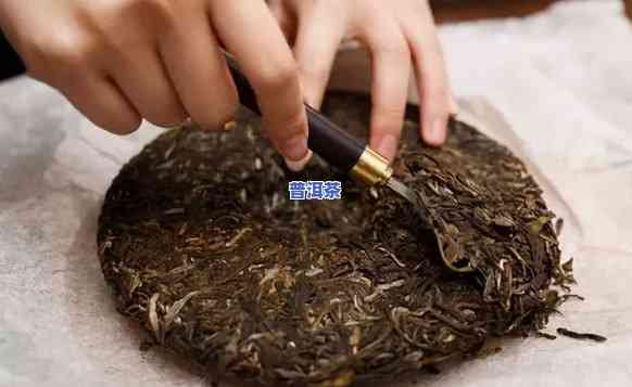 普洱茶饼一撬就碎：起因解析与解决办法