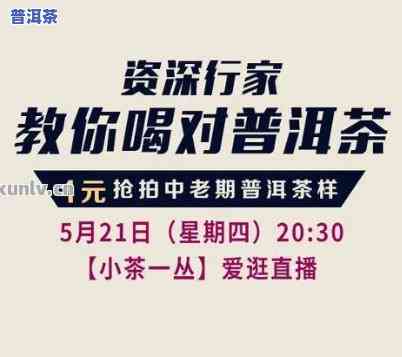 普洱茶直播怎么说：打造专业好听的话术指南