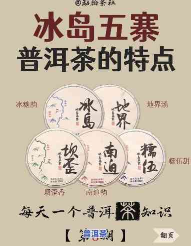 冰岛普洱茶特点及鉴别方法的6点认识，深入熟悉冰岛普洱茶：特点与鉴别方法的六要素解析