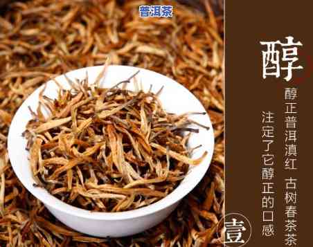 什么的滇红茶口感更佳？哪款滇红茶更受欢迎？比较一下各滇红茶的品质优劣！