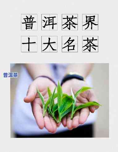 普洱茶制茶大师：十大排名一览