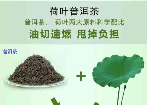 普洱茶加荷叶一起喝对孕妇安全吗？