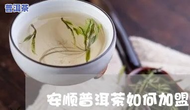 安顺普洱茶加盟条件及费用，熟悉安顺普洱茶加盟条件及费用，开启您的创业之旅！