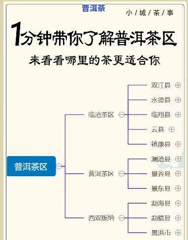 普洱茶大小叶的产区是哪里-普洱茶大小叶的产区是哪里的