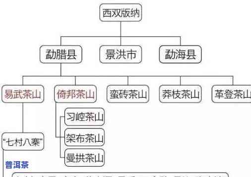 普洱茶大小叶的产区是哪里-普洱茶大小叶的产区是哪里的